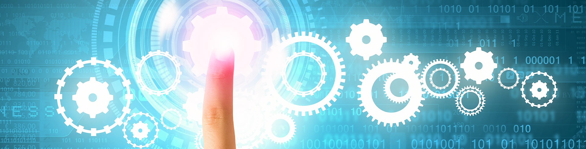 Zur Unterstützung des Immunsystems